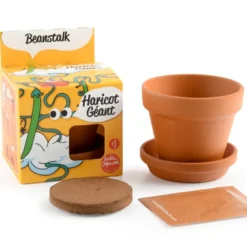 Kit pot enfant - haricot géant