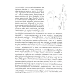 La bible de l’acupuncture