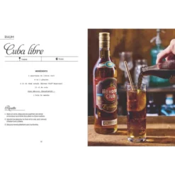 La bible Larousse des shots et cocktails