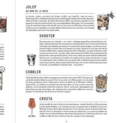 La bible Larousse des shots et cocktails