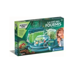 La cité des fourmis