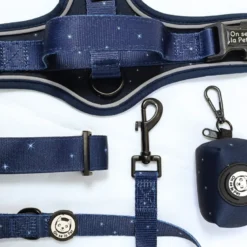 Laisse pour chien avec poignée rembourrée - bleu nuit - taille s