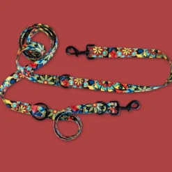 Laisse pour chien mandala multiposition