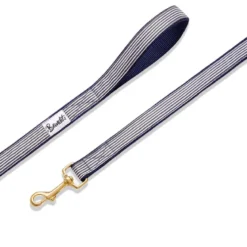 Laisse pour chien ou chat Bleu