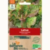 Laitue batavia rouge grenobloise bio