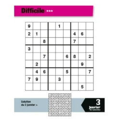 L'année à bloc : passion Sudoku