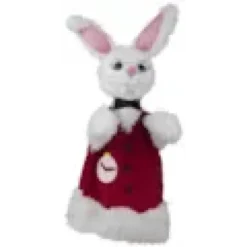 Lapin blanc