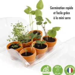 La première serre pour petit jardinier