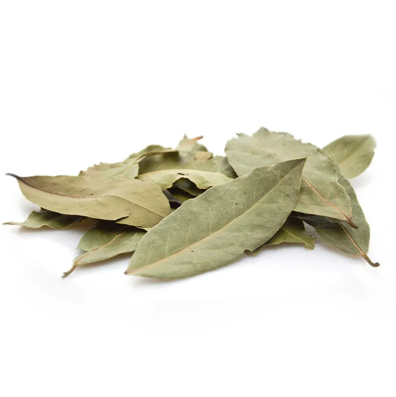 Laurier - tisane bio - 30g
