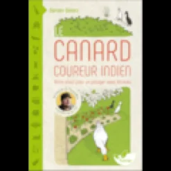 Le canard coureur indien