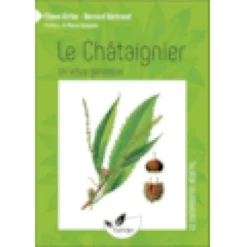 Le châtaignier, un arbre généreux