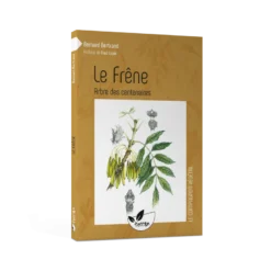 Le frêne, arbre des centenaires