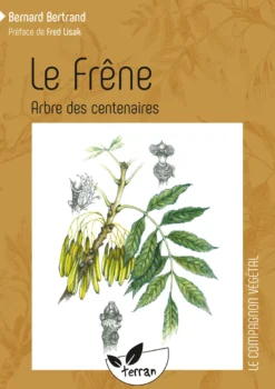 Le frêne, arbre des centenaires