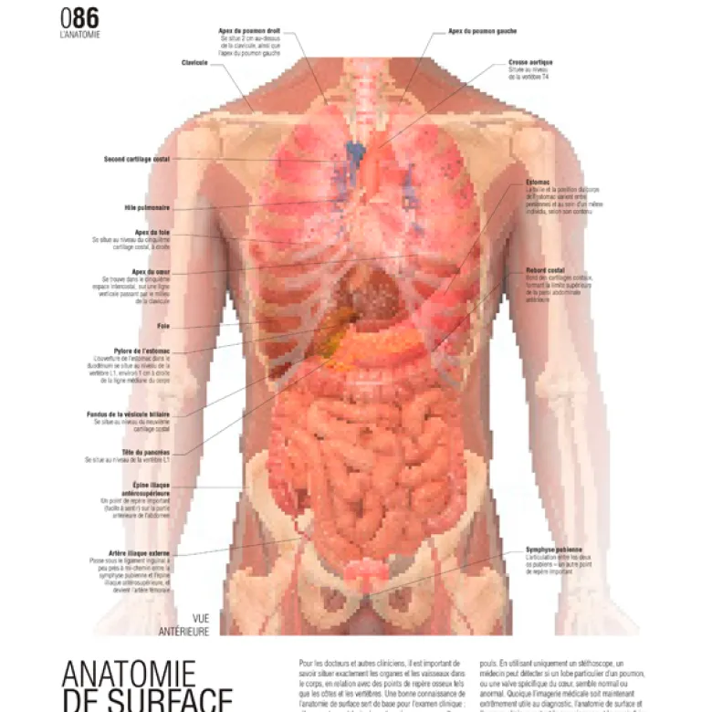 Le grand guide visuel du corps humain