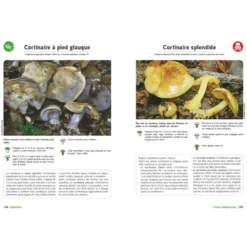 Le Grand Livre des champignons 2027