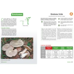 Le Grand Livre des champignons 2027