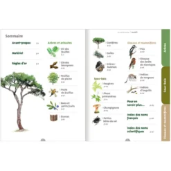 Le guide nature En forêt