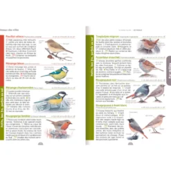 Le guide nature - Les oiseaux