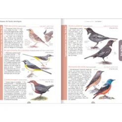 Le guide nature - Les oiseaux