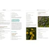 Le guide pour réensauvager les jardins, balcons, terrasses