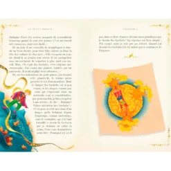 Le Petit Prince édition anniversaire illustrée et animé par le studio MinaLima