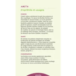 Les antisèches des plantes aromatiques