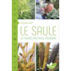 Le saule