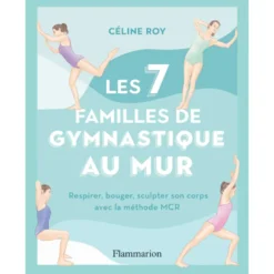 Les 7 familles de gymnastique au mur