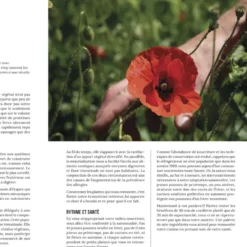 Les plantes sauvages comestibles