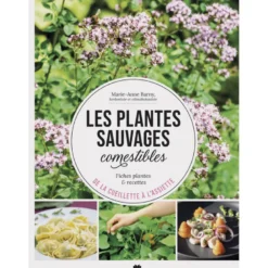 Les plantes sauvages comestibles