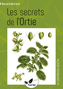 Les secrets de l'ortie