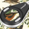 Levenhuk loupe numérique ergo 10