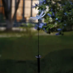 Libellule solaire à planter