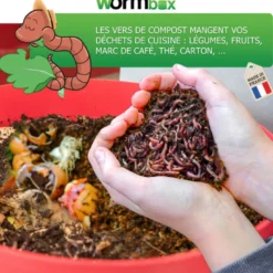 Lombricomposteur wormbox 3 plateaux, 48l