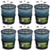 Lot de 6 pièges à larves avec seau