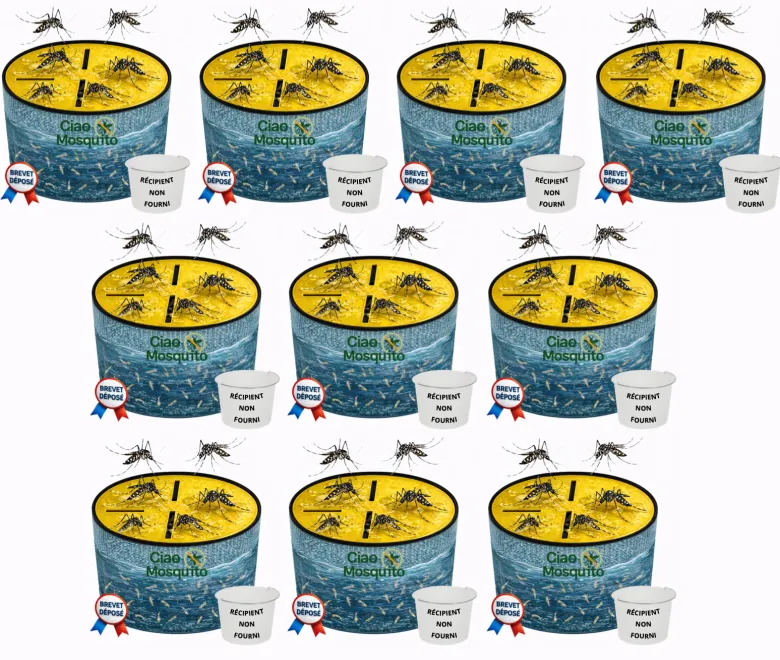 Lot de 10 pièges à moustique sans seau