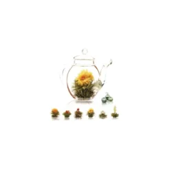 Lot 6 fleurs de thé + théière