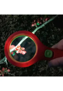 Loupe lumineuse avec leds