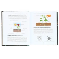 Ma bible des huiles essentielles Luxe