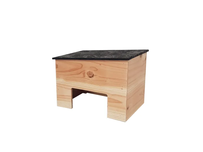 Maison jeanne tortue de terre douglas