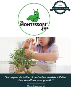 Mamontessoribox animaux du monde