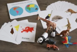 Mamontessoribox animaux du monde