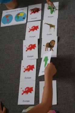 Mamontessoribox animaux du monde