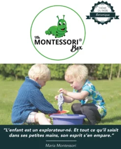 Mamontessoribox puzzle botanique arbre
