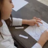 Mamontessoribox puzzle zoologie poisson