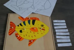 Mamontessoribox puzzle zoologie poisson