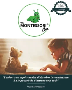 Mamontessoribox puzzle zoologie poisson