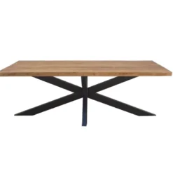 Manaus-table à manger 10 personnes 240 cm en bois massif
