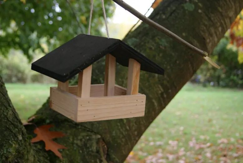 Mangeoire oiseau le déjeuner châtaignier