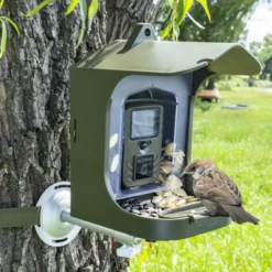 Mangeoire oiseaux avec caméra